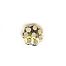 Filigree Beadcap - suits bead size of 6 mm - gold (pack of 2)