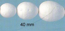 STEN - Papier Mache (Pressed Cotton) - 40 mm Egg