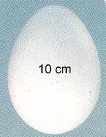 STEN - Polystyrene - 10 cm Egg