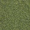 Miyuki Delica - Size 11 - Opaque Cactus Lustre - 5 g
