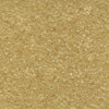 Miyuki Delica - Size 11 - Transparent Pale Beige - 5 g