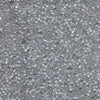 Miyuki Delica - Size 11 - Transparent Pale Taupe Lustre - 5 g