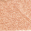 Miyuki Delica - Size 11 - Matte Opaque Light Peach - 5 g