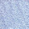 Miyuki Delica - Size 11 - Matte Opaque Light Sky Blue - 5 g