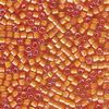 Miyuki Delica - Size 11 - White-Lined Orange AB - 5 g