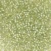 Miyuki Delica - Size 11 - Fancy Lined Silver Streak - 5 g