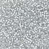 Miyuki Delica - Size 11 - Fancy Lined Ice - 5 g