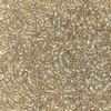 Miyuki Delica - Size 11 - Fancy Lined Rose Taupe - 5 g