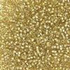 Miyuki Delica - Size 11 - Fancy Lined Champagne - 5 g