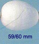 OLAF - Papier Mache (Pressed Cotton) - 59/60 mm Egg