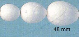 STEN - Papier Mache (Pressed Cotton) - 48 mm Egg